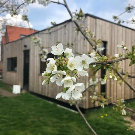 Gezellige Tiny House Privatunterkunft